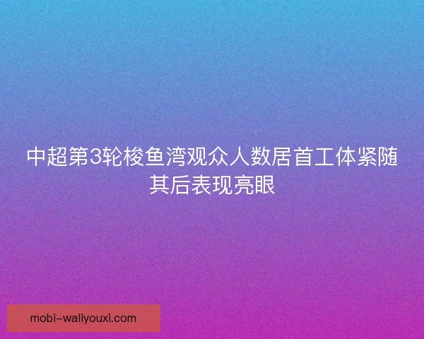 中超第3轮梭鱼湾观众人数居首工体紧随其后表现亮眼